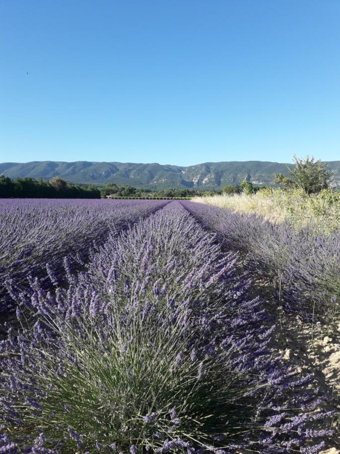 Gite Le Bagnol Un Coin De Paradis Maubec (Vaucluse) Exterior foto