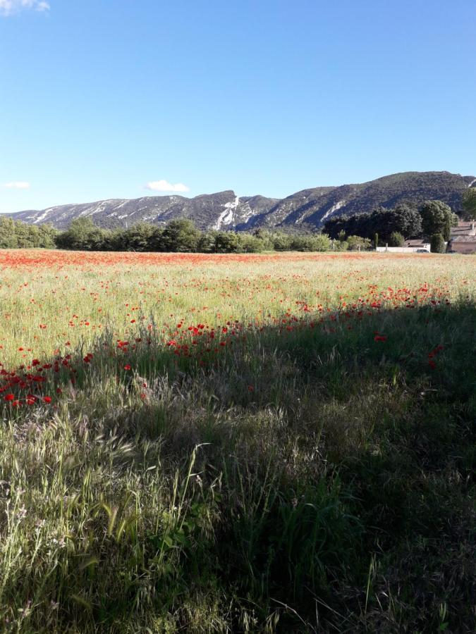 Gite Le Bagnol Un Coin De Paradis Maubec (Vaucluse) Exterior foto