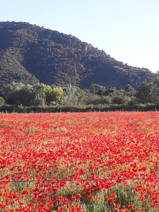 Gite Le Bagnol Un Coin De Paradis Maubec (Vaucluse) Exterior foto