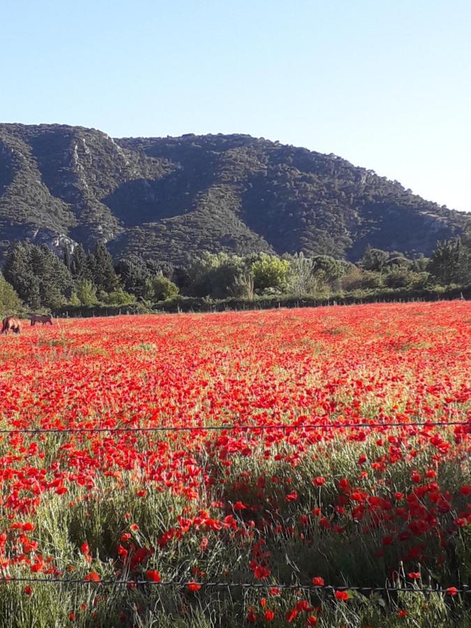 Gite Le Bagnol Un Coin De Paradis Maubec (Vaucluse) Exterior foto